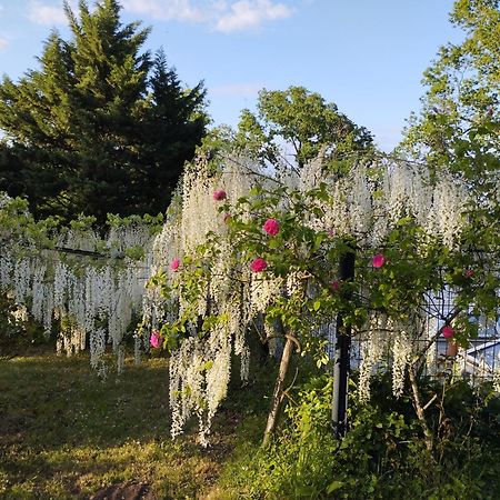 Chambres D'Hotes La Tour De Bellevue Saumur Εξωτερικό φωτογραφία
