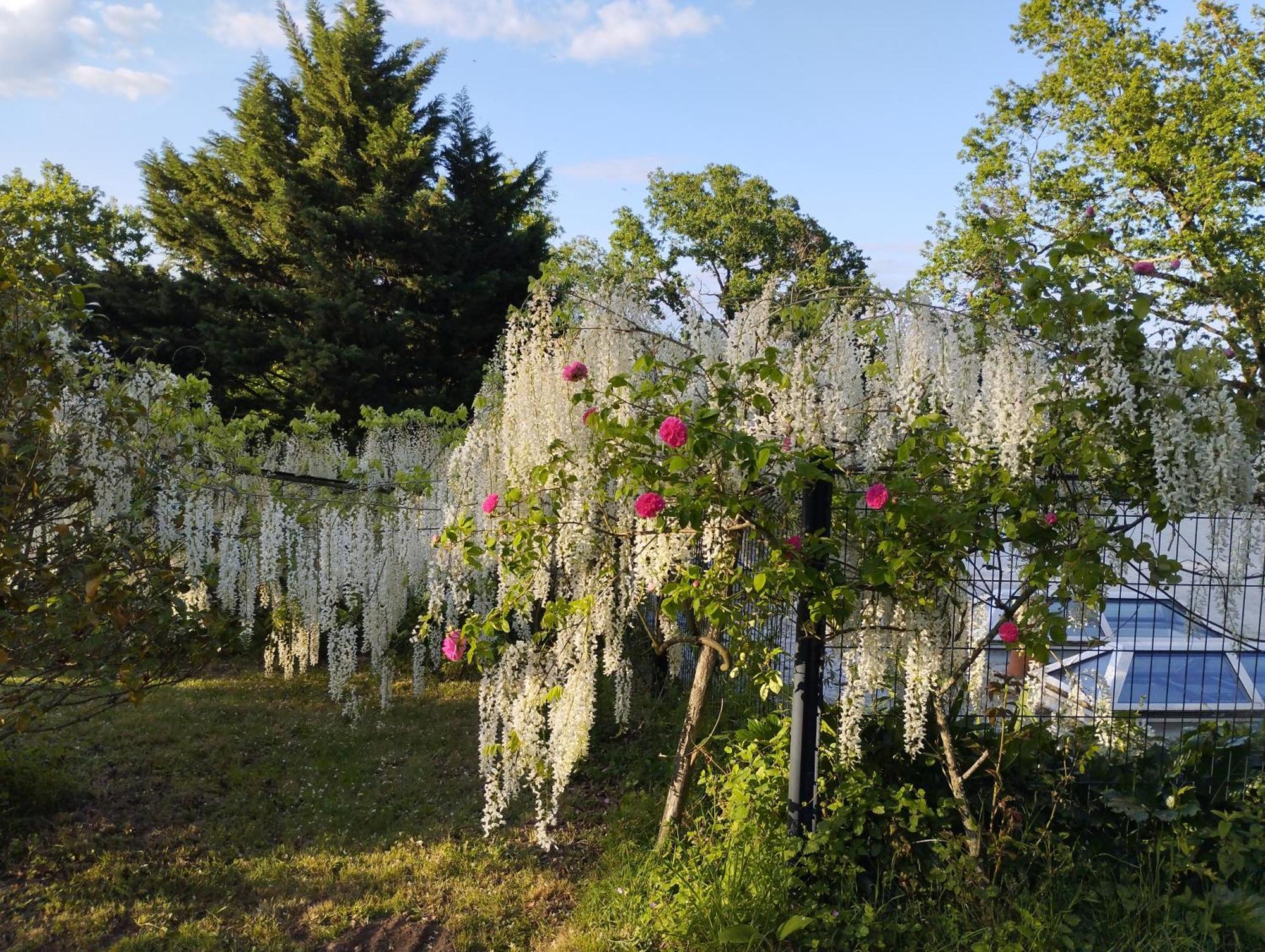 Chambres D'Hotes La Tour De Bellevue Saumur Εξωτερικό φωτογραφία